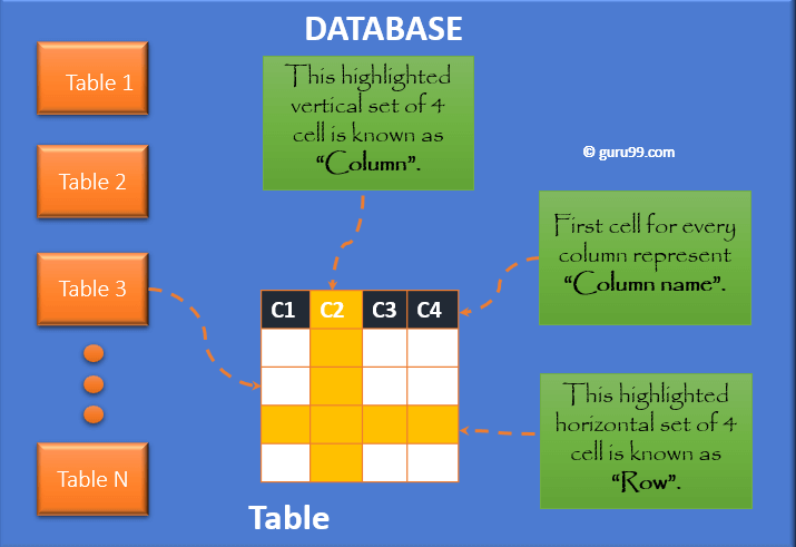 Table Rows and Column