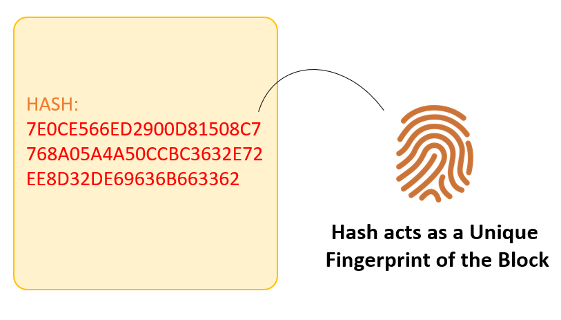 What is SHA256 Hash