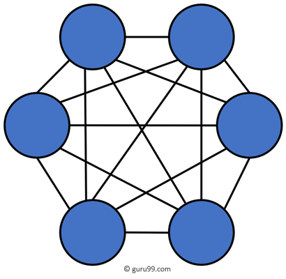 Fully Connected Mesh Topology