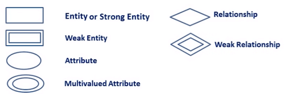 ER Diagram Symbols & Notations