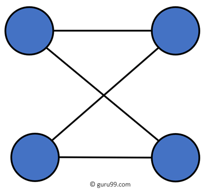 P2P Network
