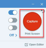 Snagit