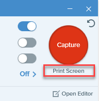 Snagit