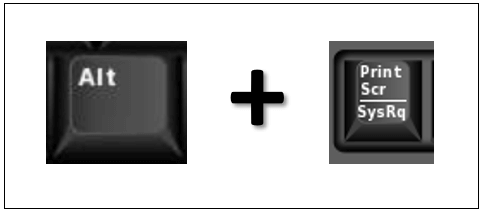 Windows Key + Print Screen