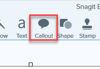 Snagit
