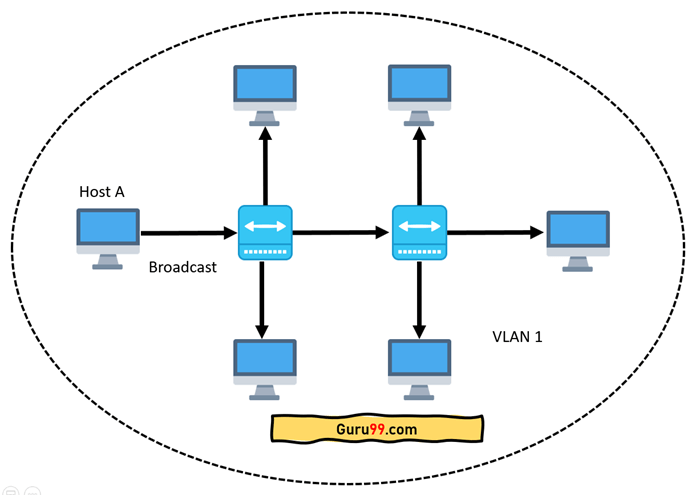 Network Having All Hosts inside the Same VLAN