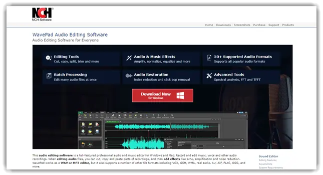 WavePad Audio