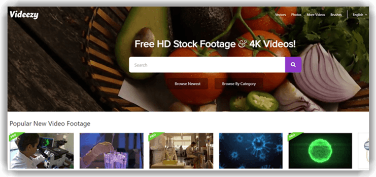 Videezy
