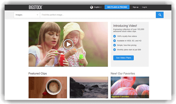 Bigstockphoto