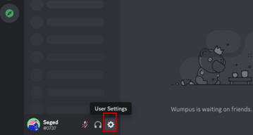 Play Music on Discord bot through Spotify