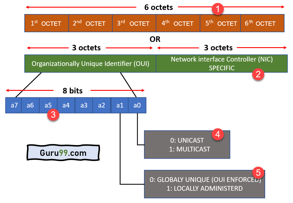 Architecture of MAC