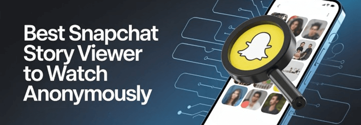 Snapchat Story Viewer
