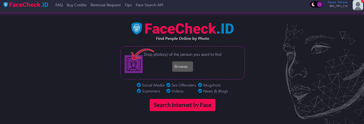 Facecheck Id Alternatives