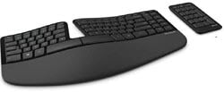 Microsoft Sculpt