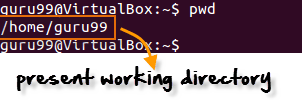 Terminal V/s File Manager &  The CD command