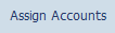 Create Financial Statement Version in SAP