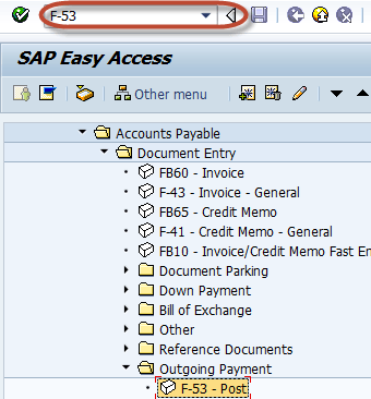 Post Outgoing Vendor Payment in SAP