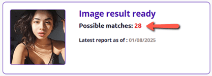 Social Catfish search results showing multiple matches