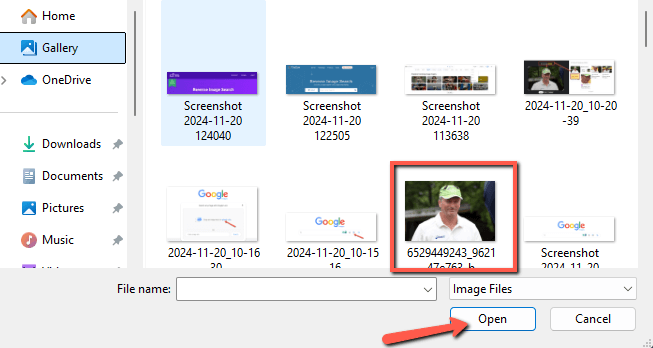 Reverse Image Search